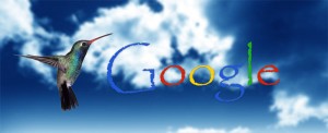 Google'ın Yeni Algoritması Hummingbird