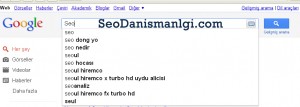 Seo Danışmanlığı