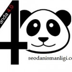 Google Panda 4.0 Google