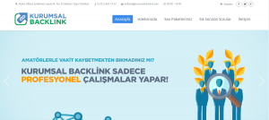 kurumsal_backlink_seo_danismanligi_1